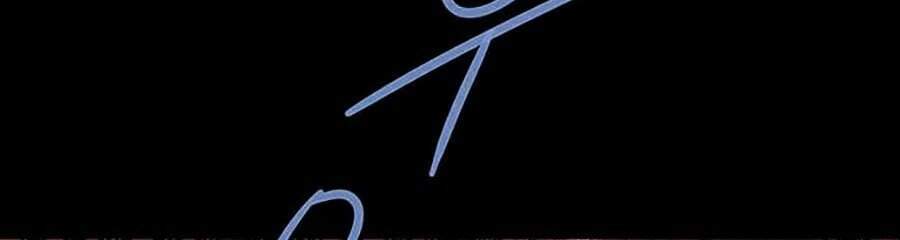 Hive Chapter 244 - Trang 2