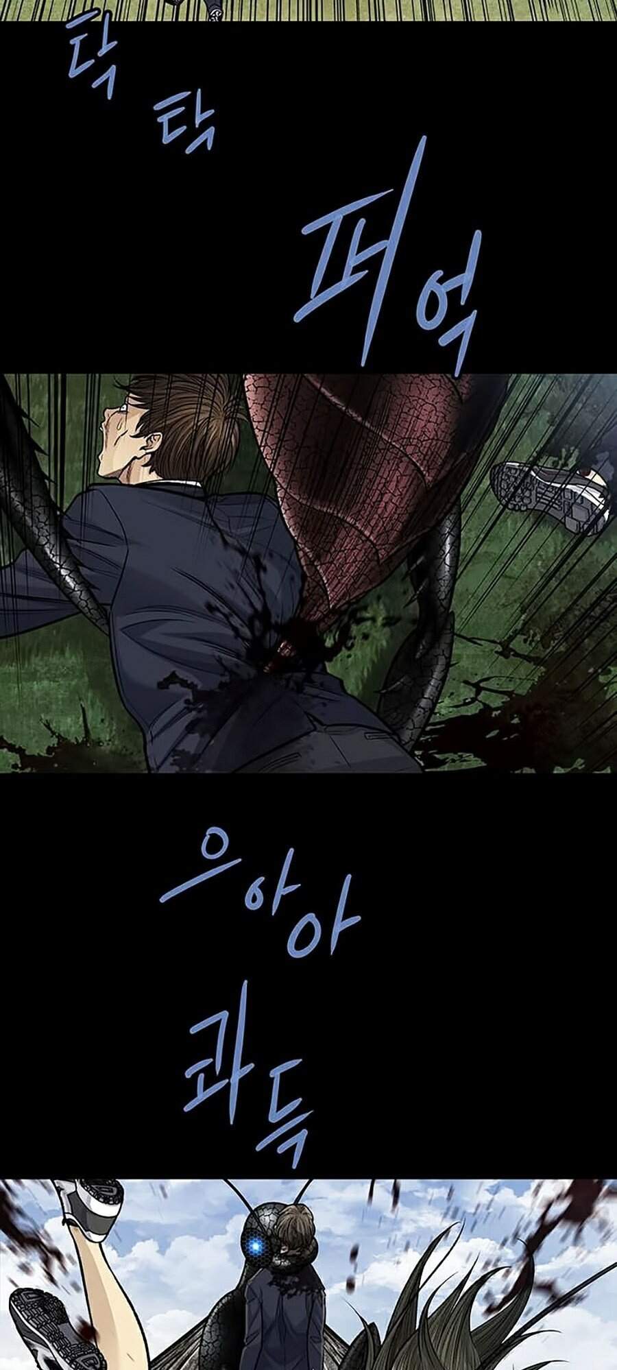 Hive Chapter 245 - Trang 2