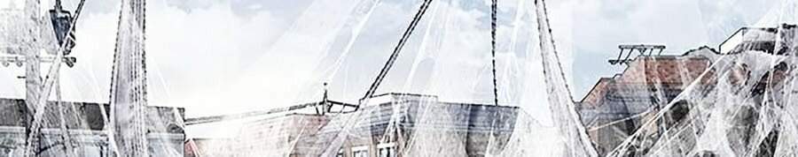 Hive Chapter 247 - Trang 2