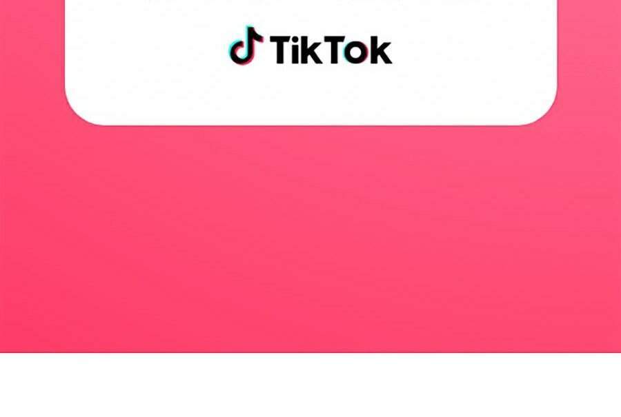 Hive Chapter 247 - Trang 2