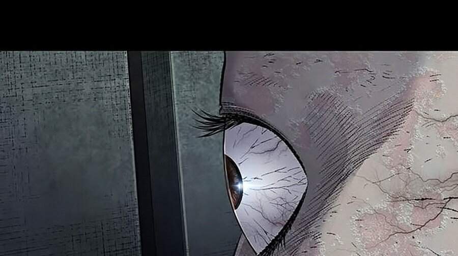 Hive Chapter 248 - Trang 2