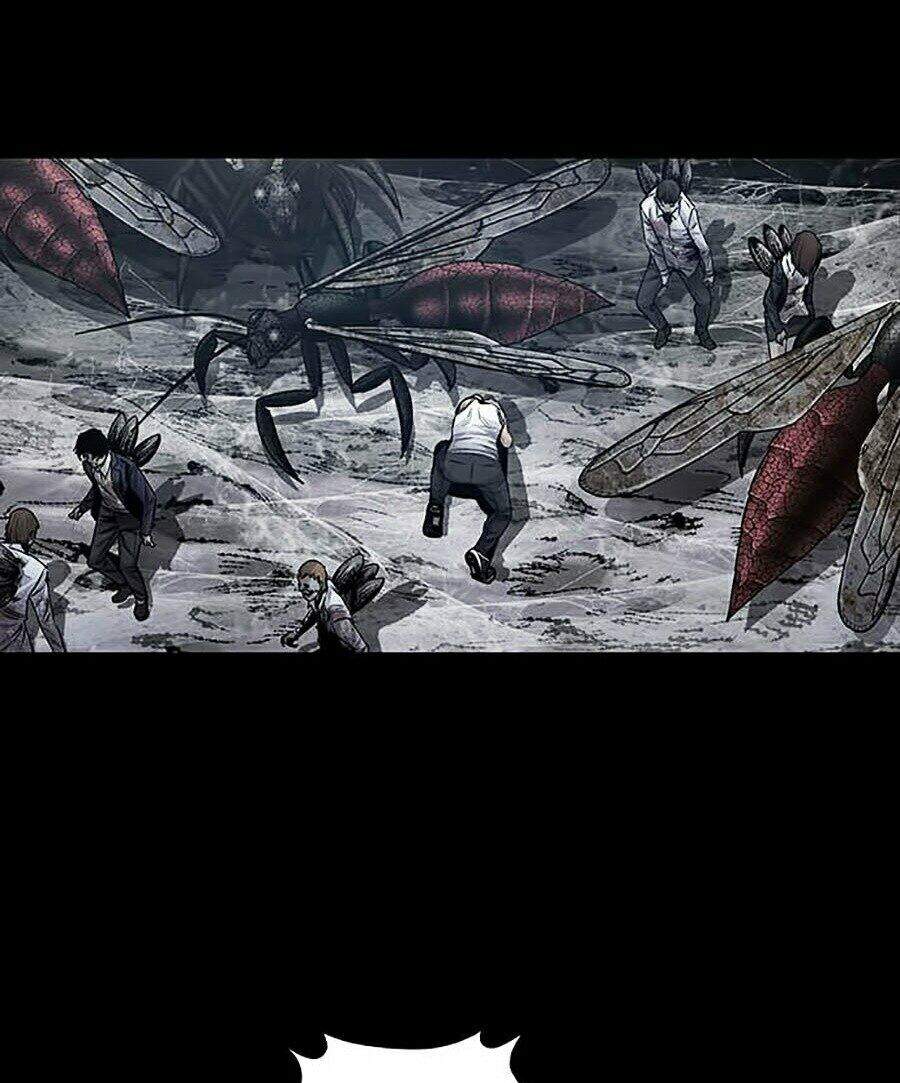 Hive Chapter 254 - Trang 2