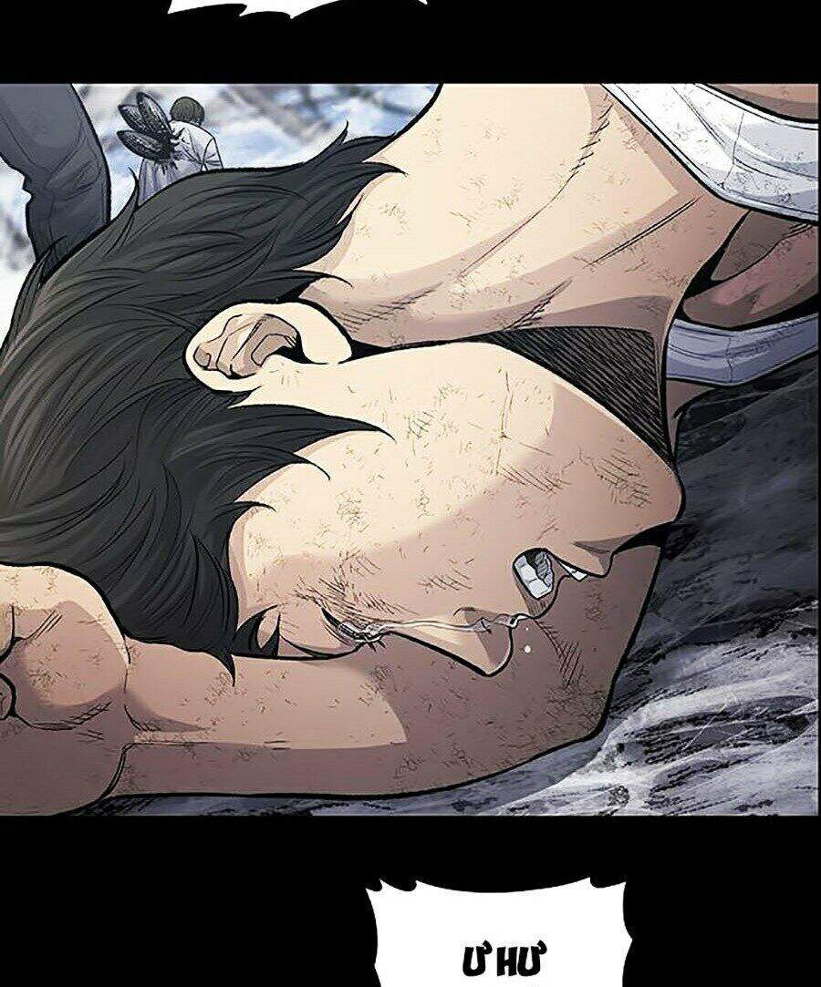 Hive Chapter 254 - Trang 2