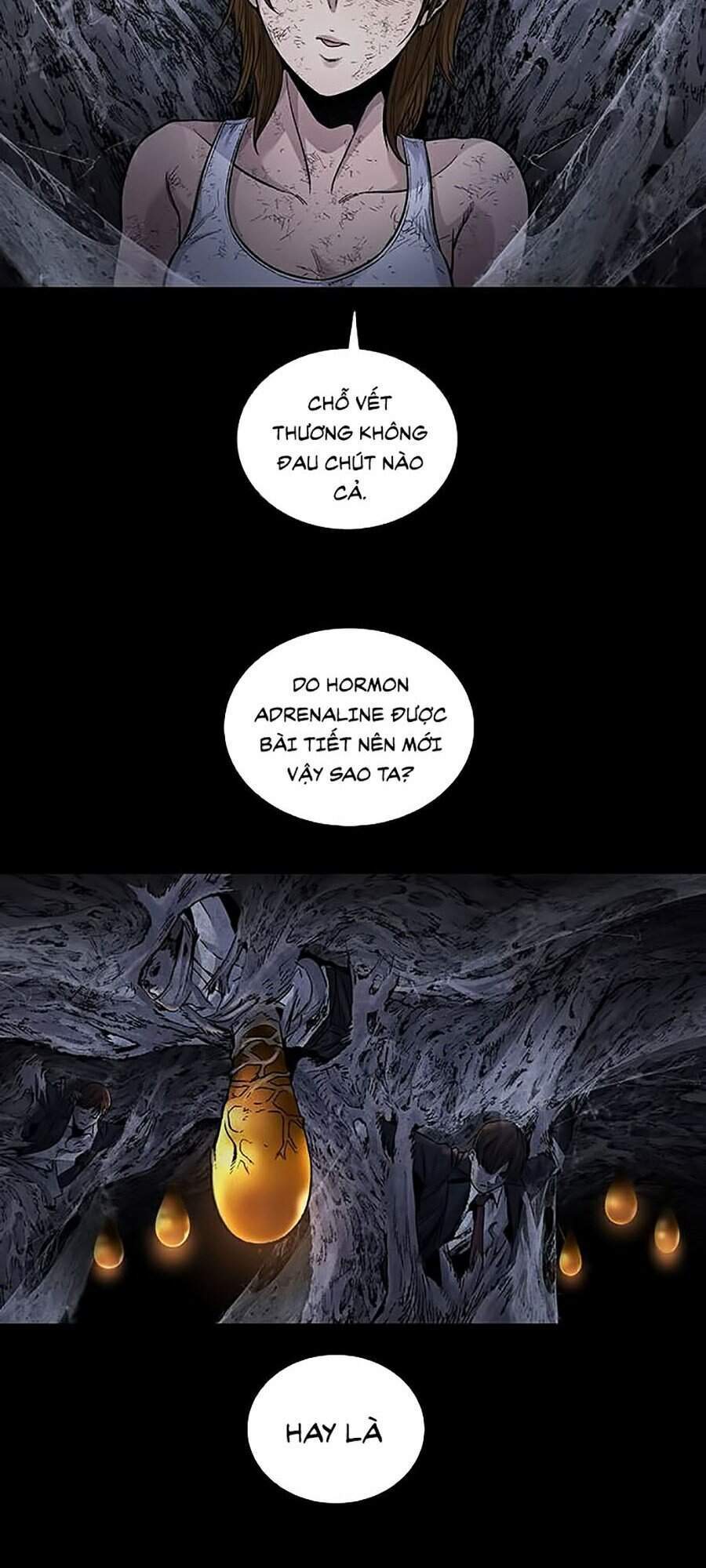 Hive Chapter 255 - Trang 2