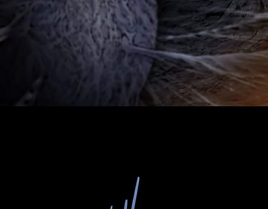 Hive Chapter 262 - Trang 2