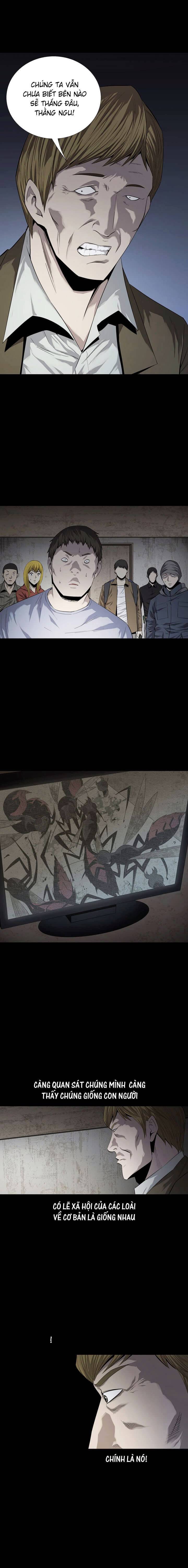 Hive Chapter 49 - Trang 2