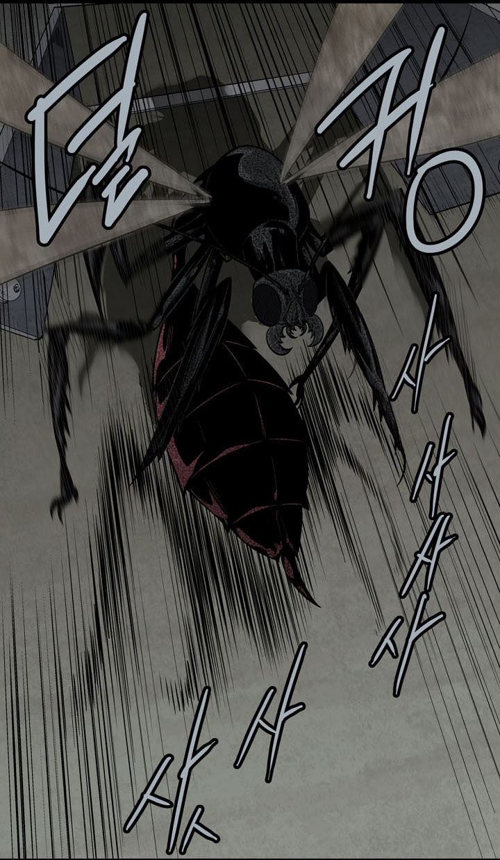 Hive Chapter 66 - Trang 2