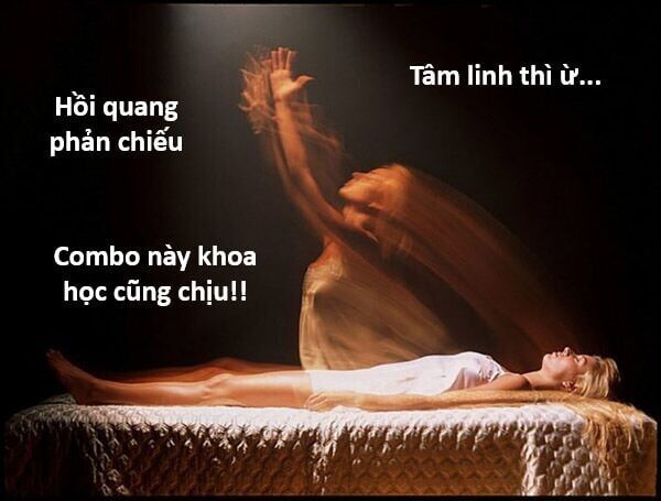 Hổ Đến Chơi Nhà Chapter 132 - Trang 2