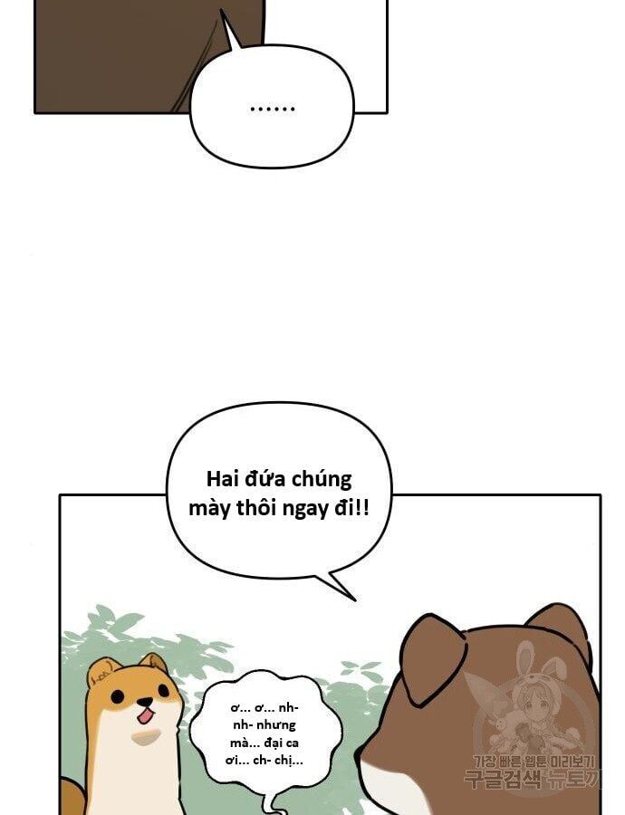 Hổ Đến Chơi Nhà Chapter 132 - Trang 2