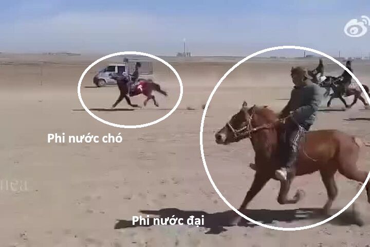 Hổ Đến Chơi Nhà Chapter 169 - Trang 2