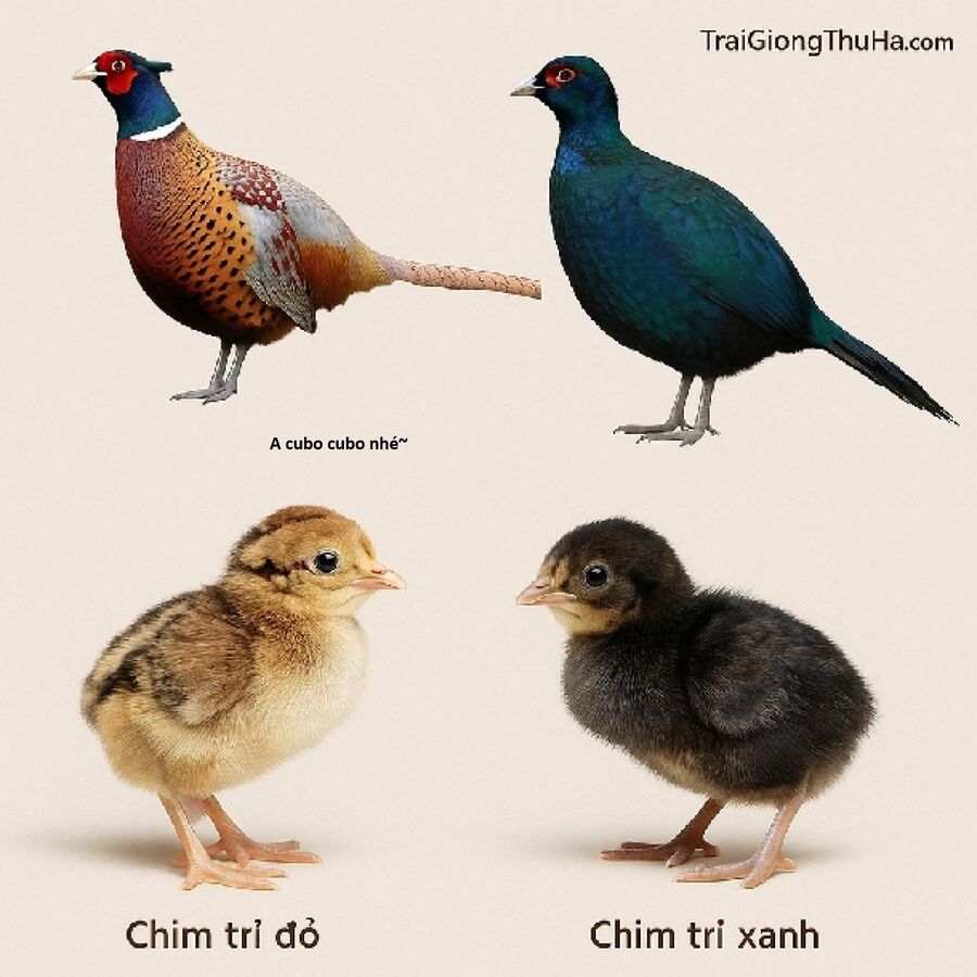 Hổ Đến Chơi Nhà Chapter 173 - Trang 2
