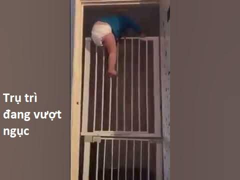 Hổ Đến Chơi Nhà Chapter 97 - Trang 2