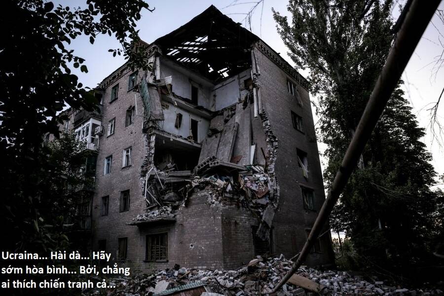 Hổ Đến Chơi Nhà Chapter 98 - Trang 2