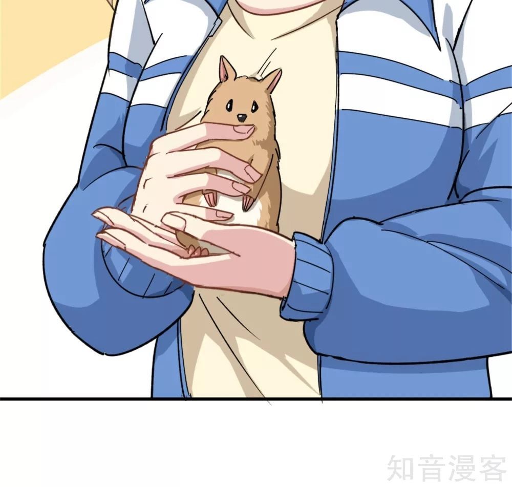 Hộ Hoa Cao Thủ Tại Vườn Trường Chapter 1 - Trang 2