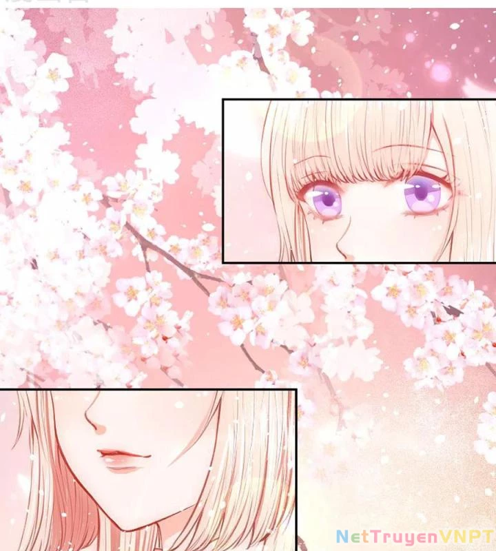 Hồ Ly Tinh Của Trẫm Chapter 1 - Trang 2
