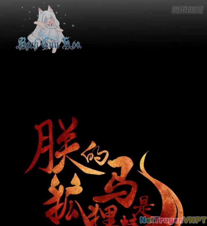 Hồ Ly Tinh Của Trẫm Chapter 13 - Trang 2