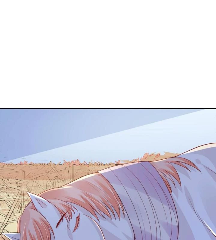 Hồ Ly Tinh Của Trẫm Chapter 13 - Trang 2