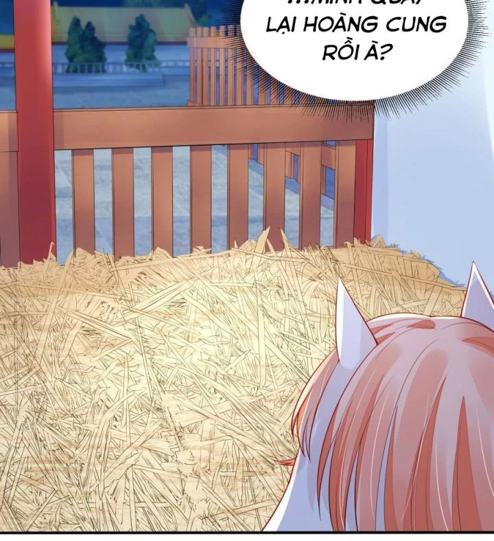 Hồ Ly Tinh Của Trẫm Chapter 13 - Trang 2