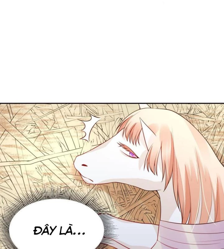 Hồ Ly Tinh Của Trẫm Chapter 13 - Trang 2