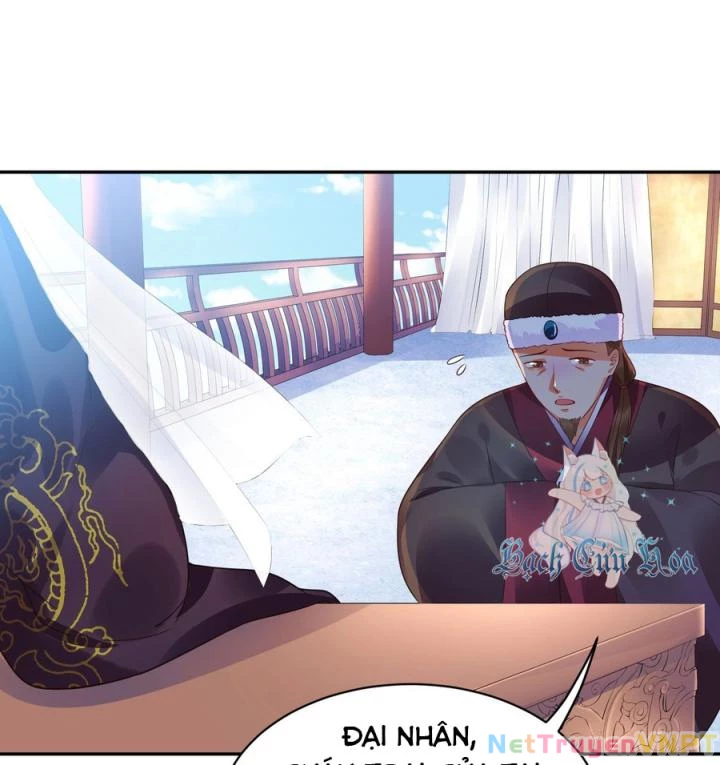Hồ Ly Tinh Của Trẫm Chapter 14 - Trang 2