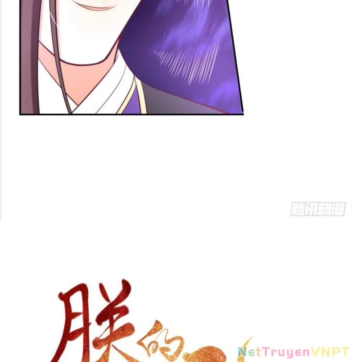 Hồ Ly Tinh Của Trẫm Chapter 39 - Trang 2
