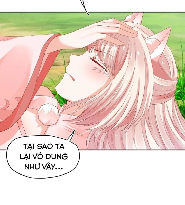 Hồ Ly Tinh Của Trẫm Chapter 39 - Trang 2