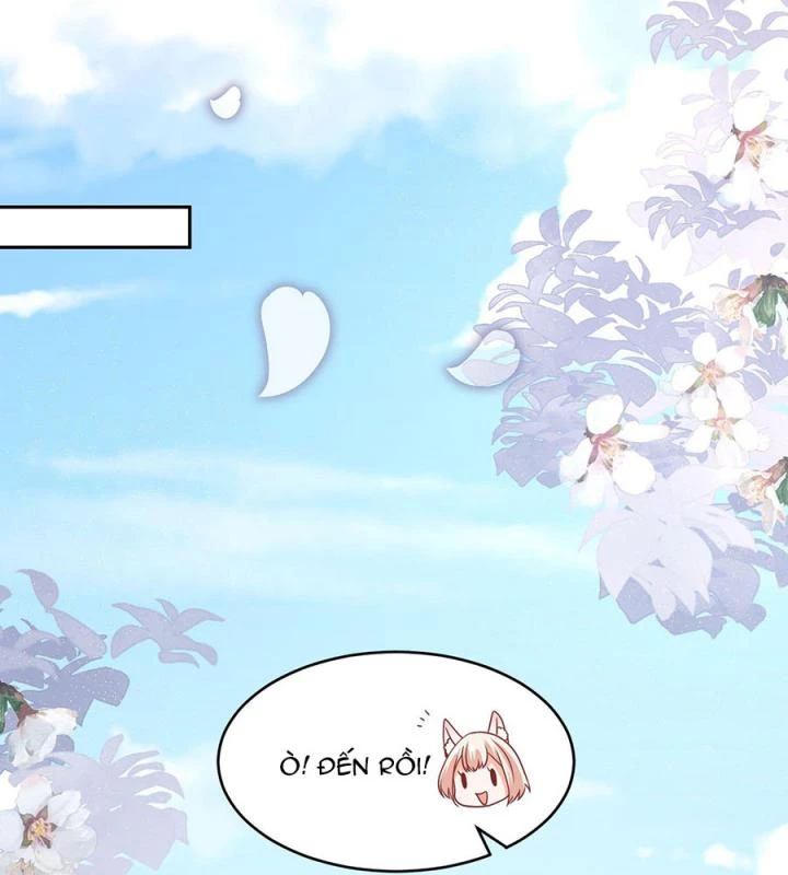 Hồ Ly Tinh Của Trẫm Chapter 41 - Trang 2