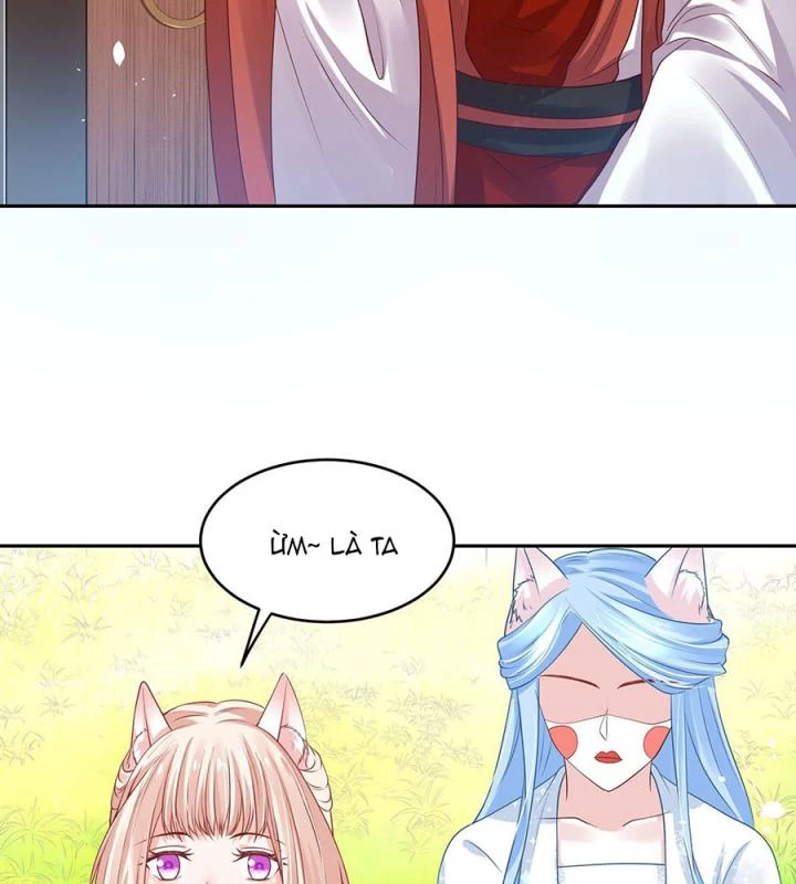 Hồ Ly Tinh Của Trẫm Chapter 41 - Trang 2