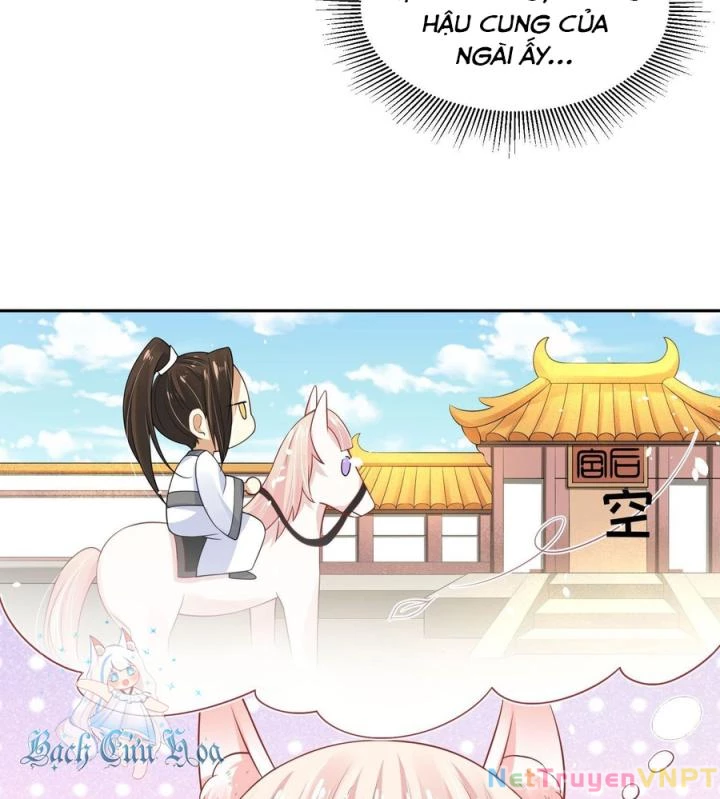 Hồ Ly Tinh Của Trẫm Chapter 43 - Trang 2