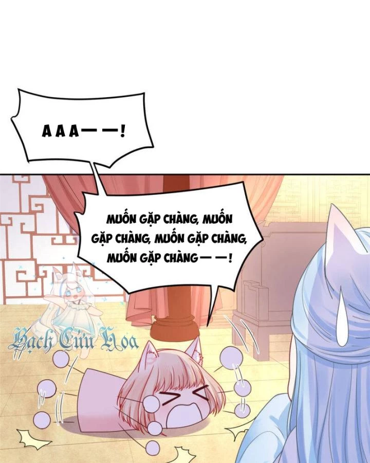 Hồ Ly Tinh Của Trẫm Chapter 47 - Trang 2