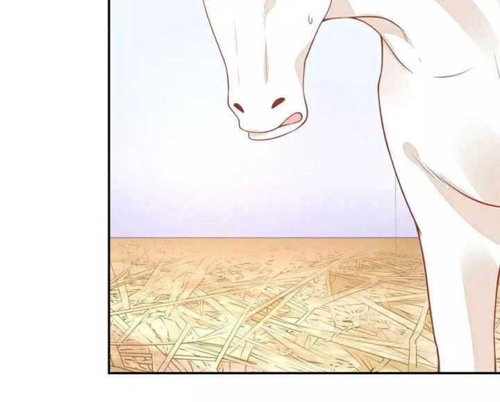 Hồ Ly Tinh Của Trẫm Chapter 6 - Trang 2