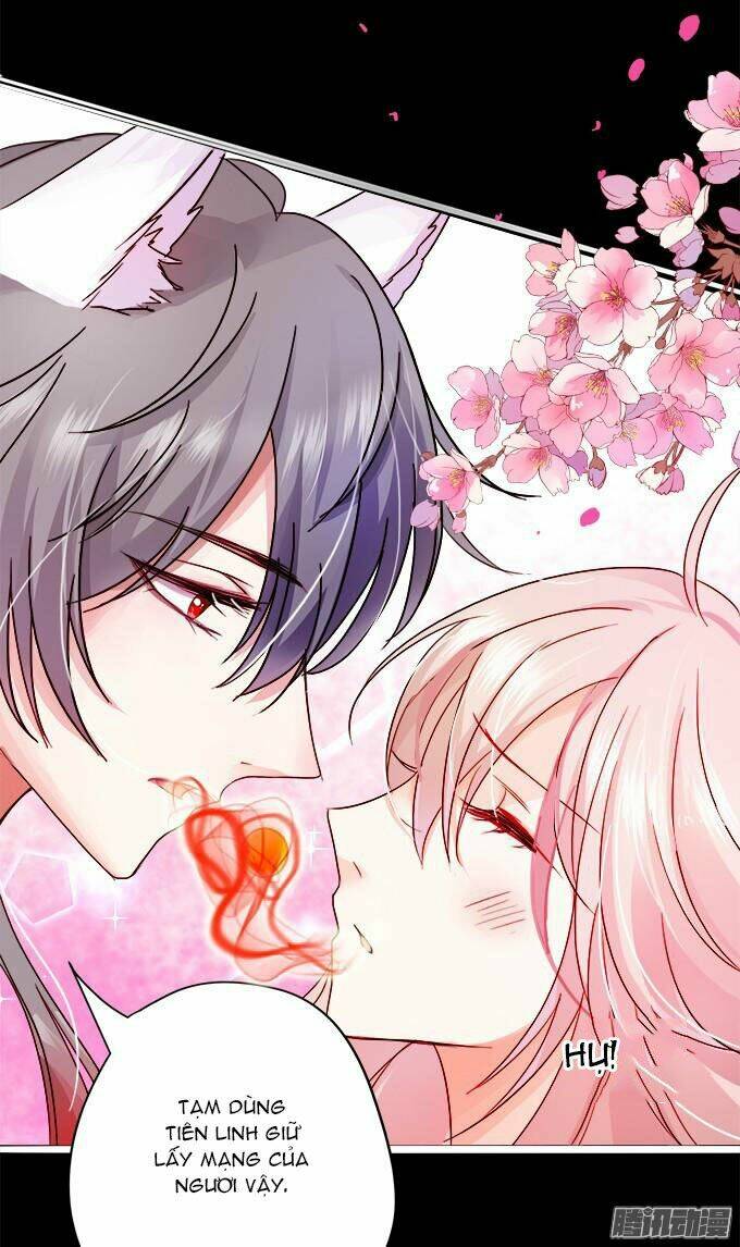 Hồ Tiên Hung Bạo Chapter 1 - Trang 2