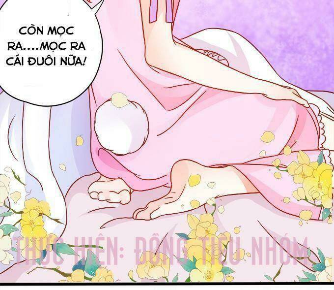 Hồ Tiên Hung Bạo Chapter 12 - Trang 2