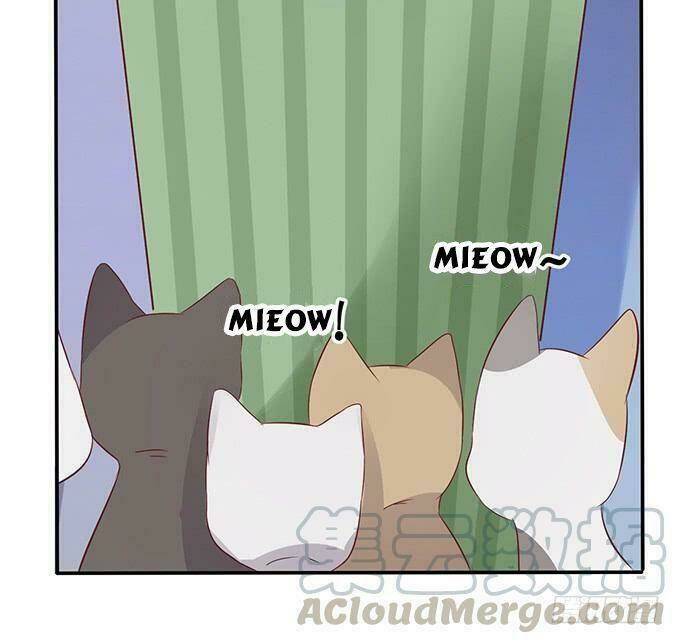 Hồ Tiên Hung Bạo Chapter 16 - Trang 2