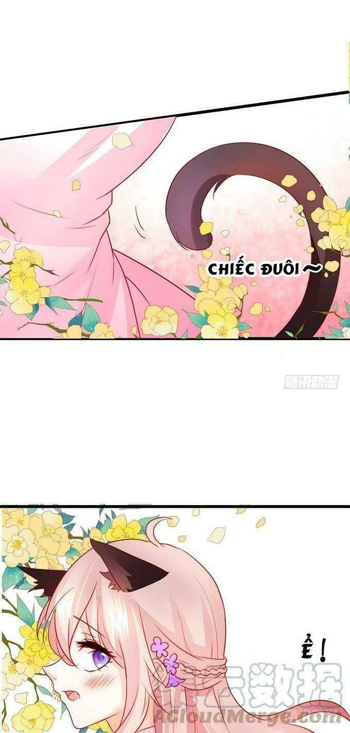 Hồ Tiên Hung Bạo Chapter 18 - Trang 2