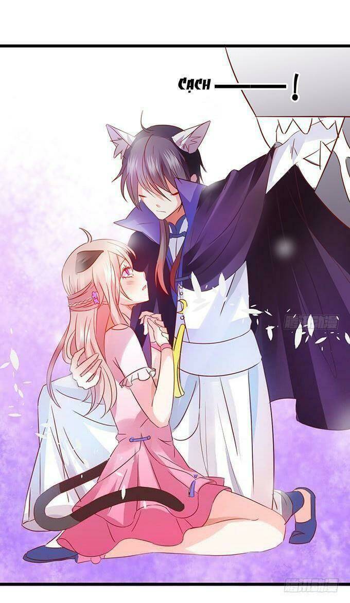 Hồ Tiên Hung Bạo Chapter 19 - Trang 2