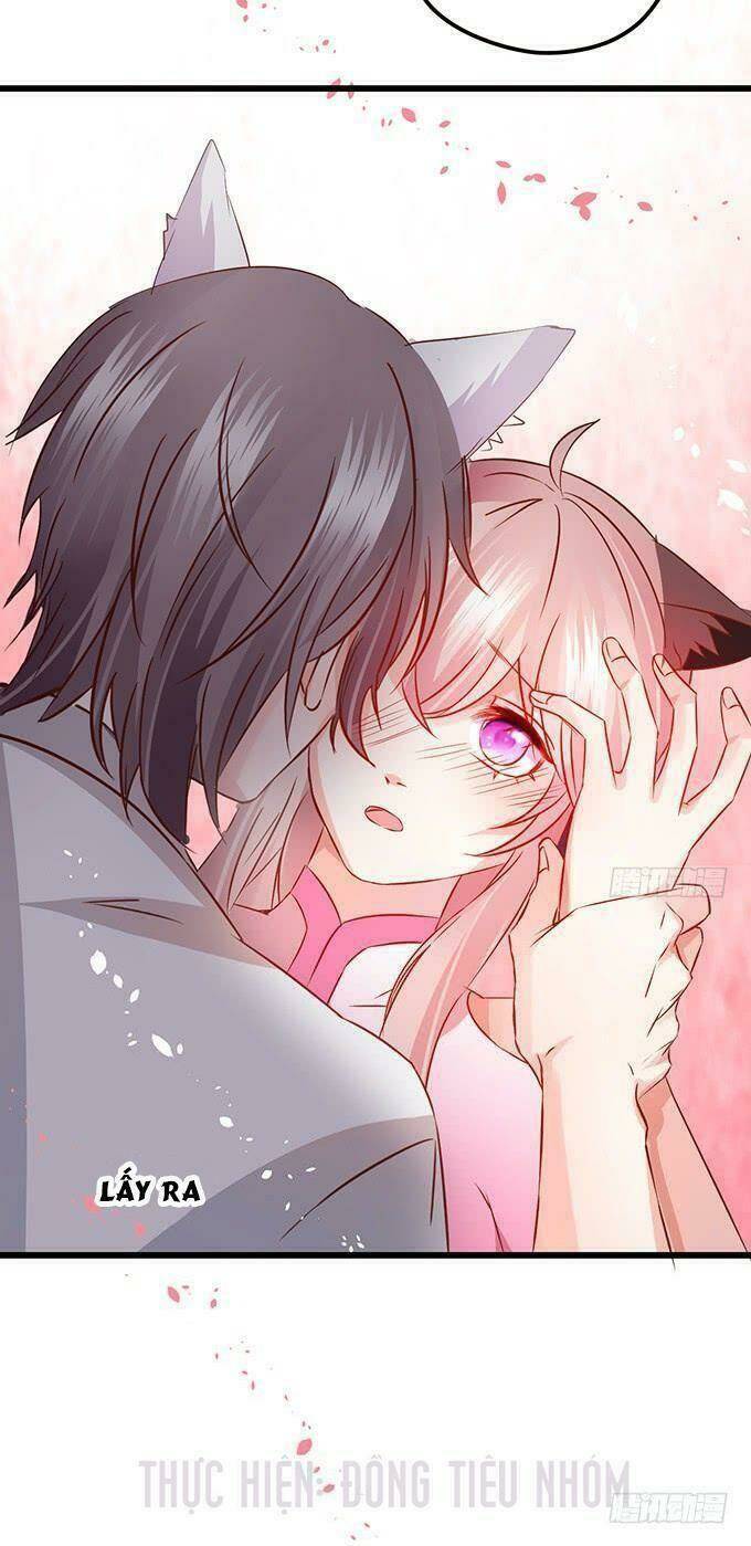 Hồ Tiên Hung Bạo Chapter 21 - Trang 2