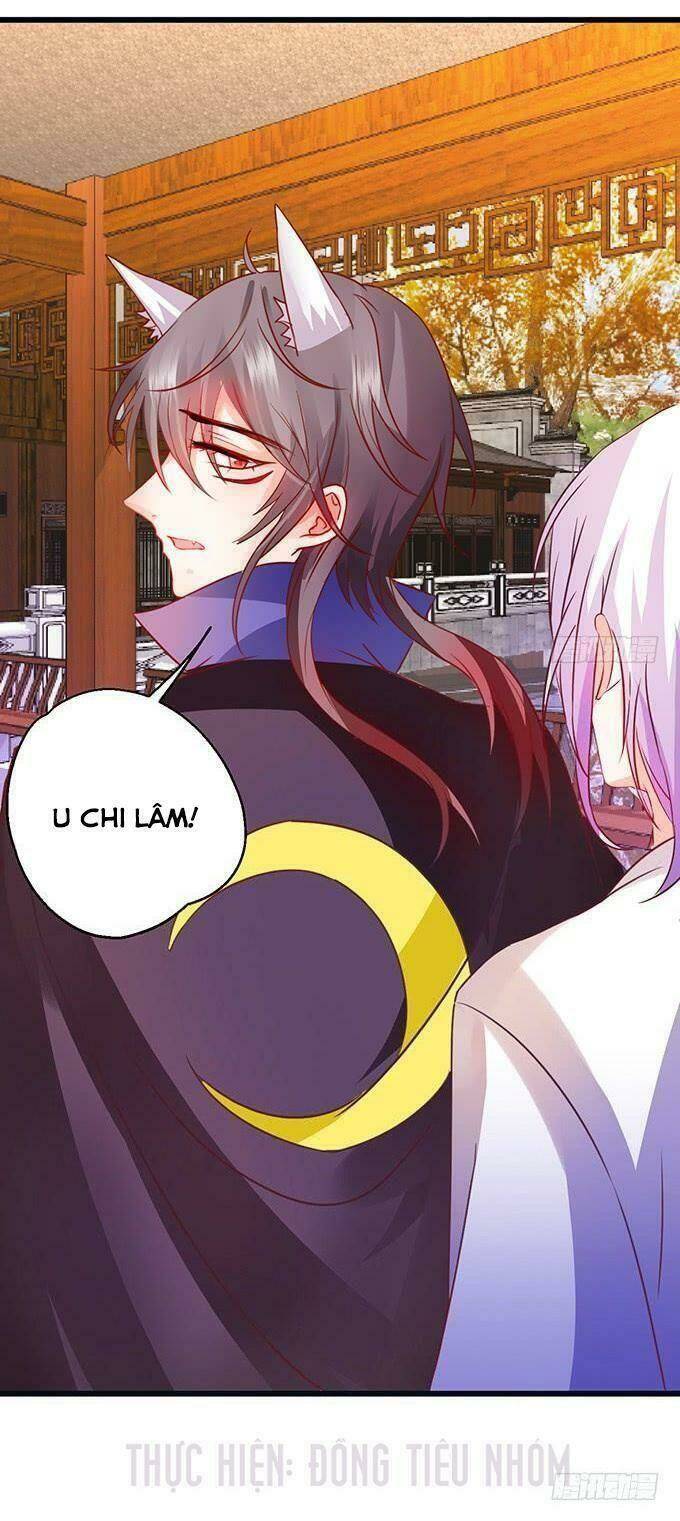 Hồ Tiên Hung Bạo Chapter 23 - Trang 2