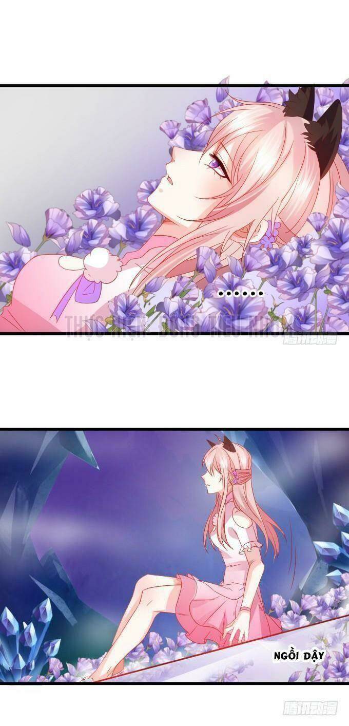 Hồ Tiên Hung Bạo Chapter 23 - Trang 2