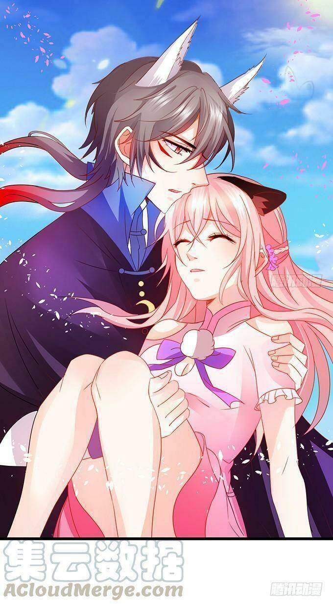 Hồ Tiên Hung Bạo Chapter 27 - Trang 2