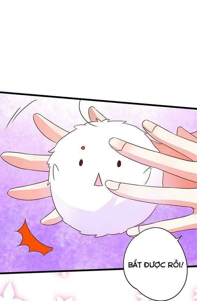 Hồ Tiên Hung Bạo Chapter 43 - Trang 2