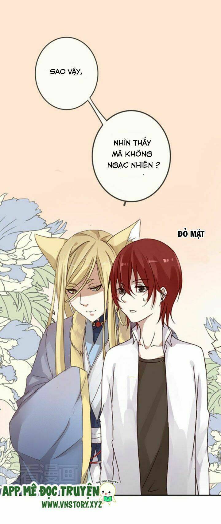 Hồ Tiên Này Không Tin Được Chapter 1 - Trang 2