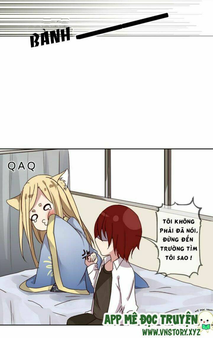 Hồ Tiên Này Không Tin Được Chapter 1 - Trang 2