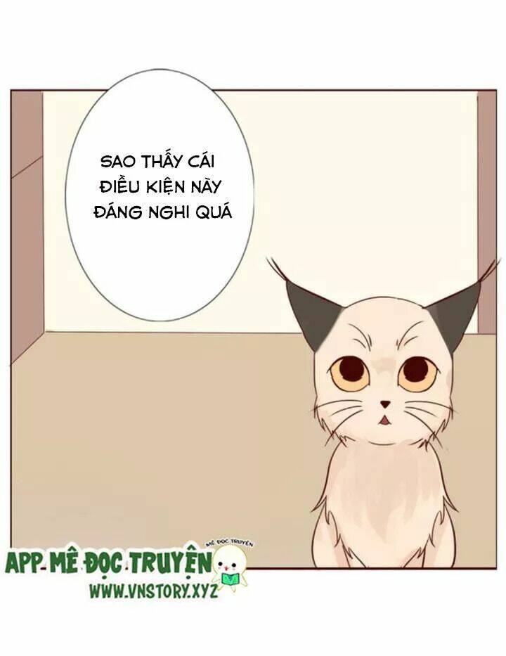 Hồ Tiên Này Không Tin Được Chapter 10 - Trang 2