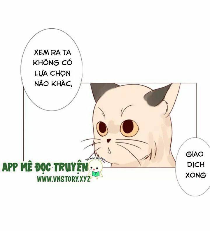 Hồ Tiên Này Không Tin Được Chapter 10 - Trang 2