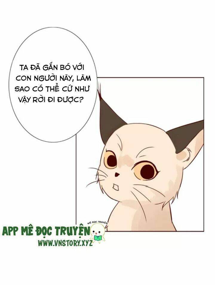 Hồ Tiên Này Không Tin Được Chapter 10 - Trang 2