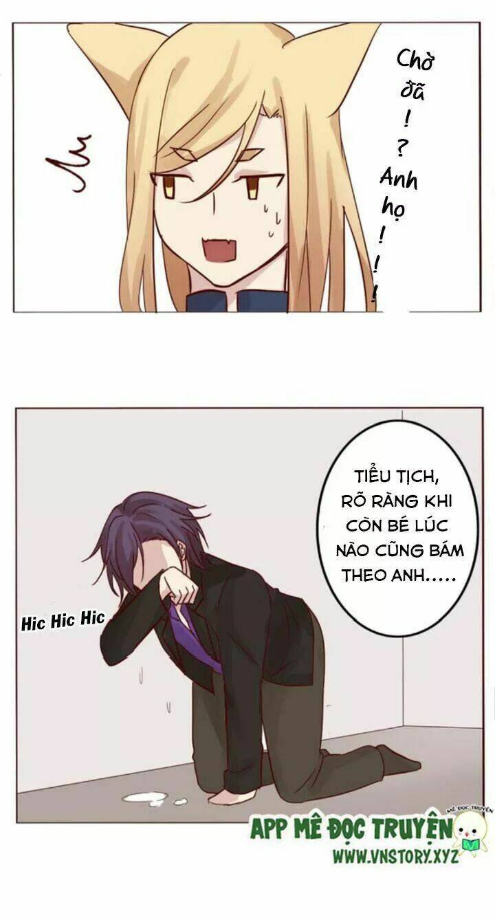 Hồ Tiên Này Không Tin Được Chapter 11 - Trang 2