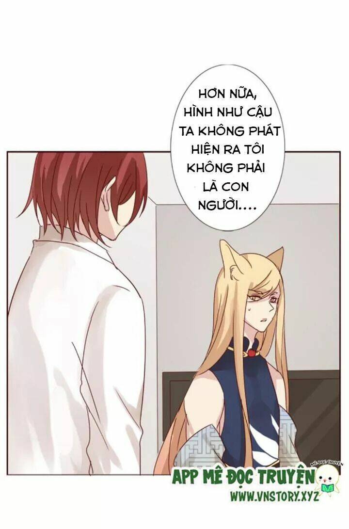 Hồ Tiên Này Không Tin Được Chapter 12 - Trang 2