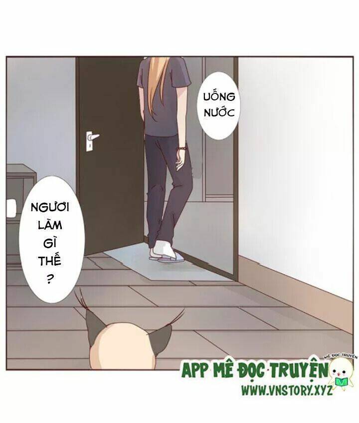 Hồ Tiên Này Không Tin Được Chapter 13 - Trang 2