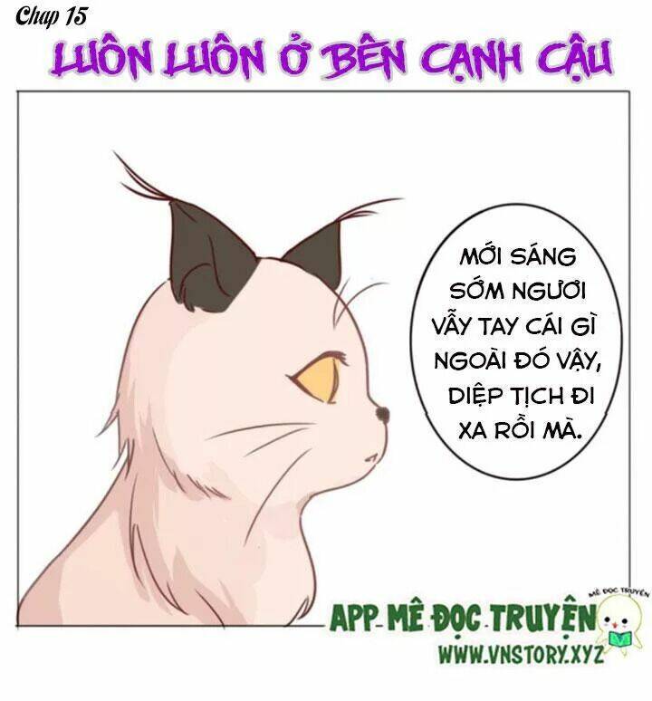 Hồ Tiên Này Không Tin Được Chapter 15 - Trang 2